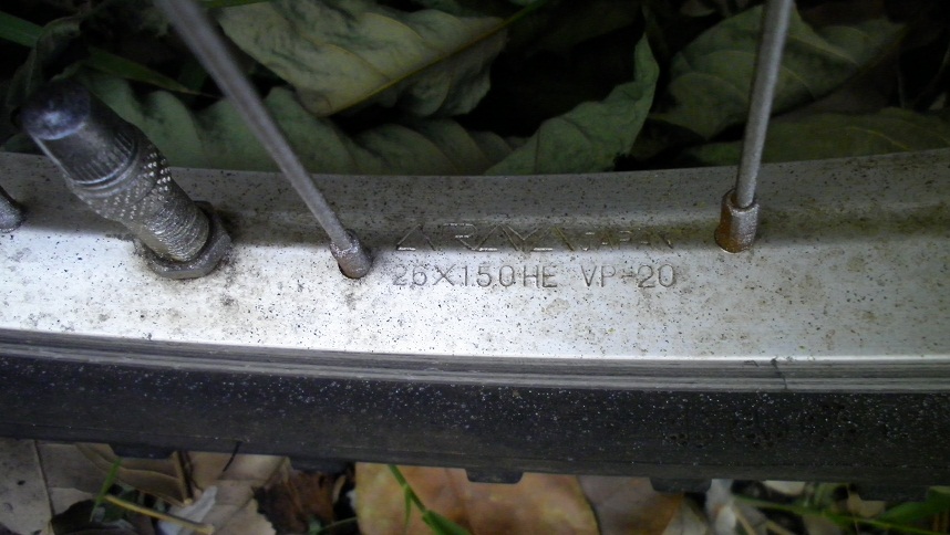 SANY0297.JPG