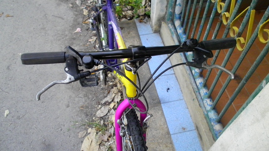 SANY0290.JPG