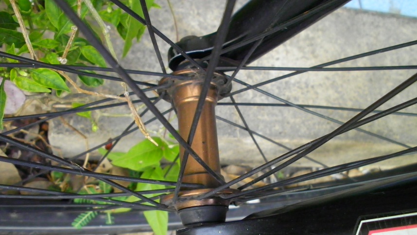 SANY0282.JPG