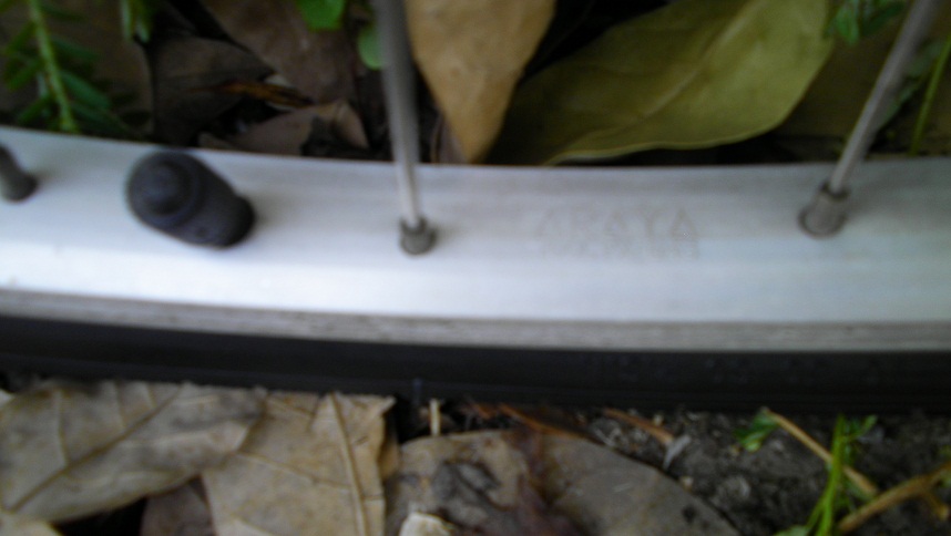 SANY0309.JPG