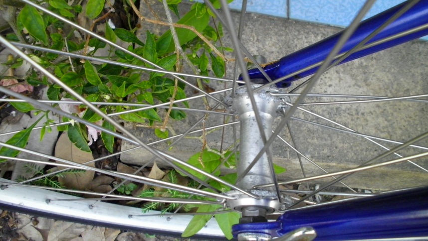 SANY0308.JPG