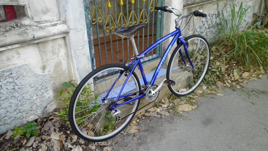 SANY0304.JPG