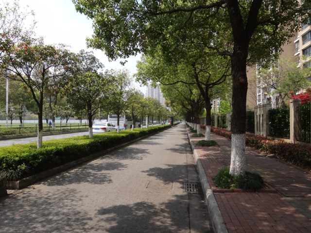 img015.JPG