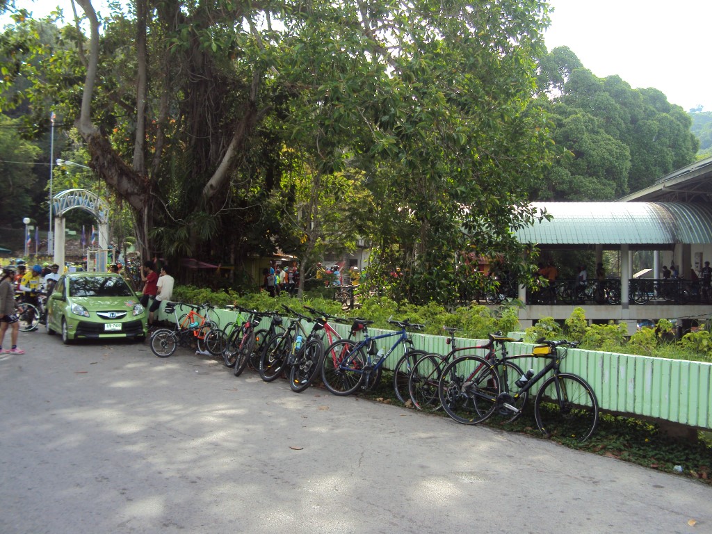 DSC08727 (Medium).JPG
