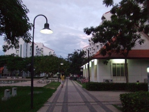 88.JPG