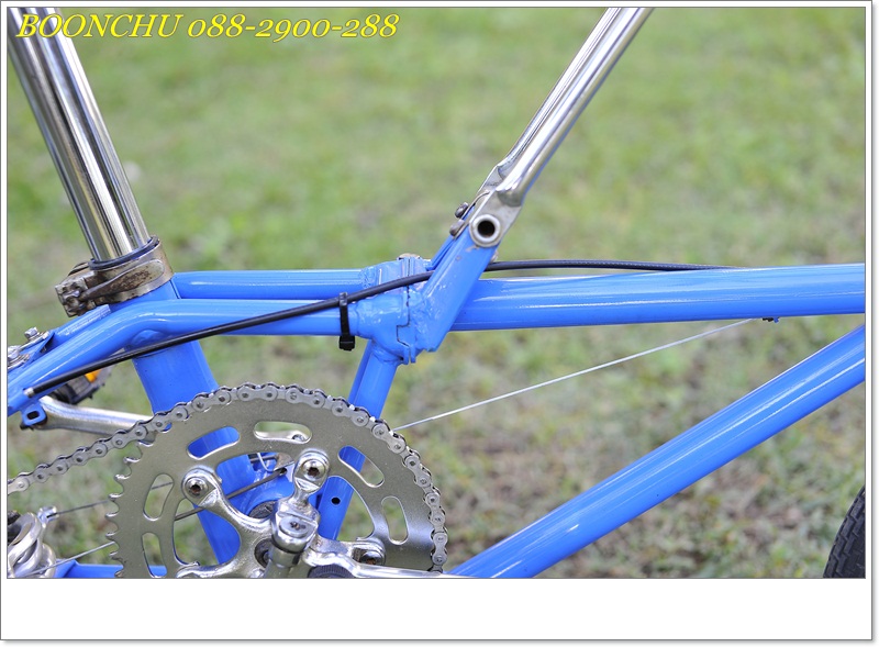 DAHON_21.JPG