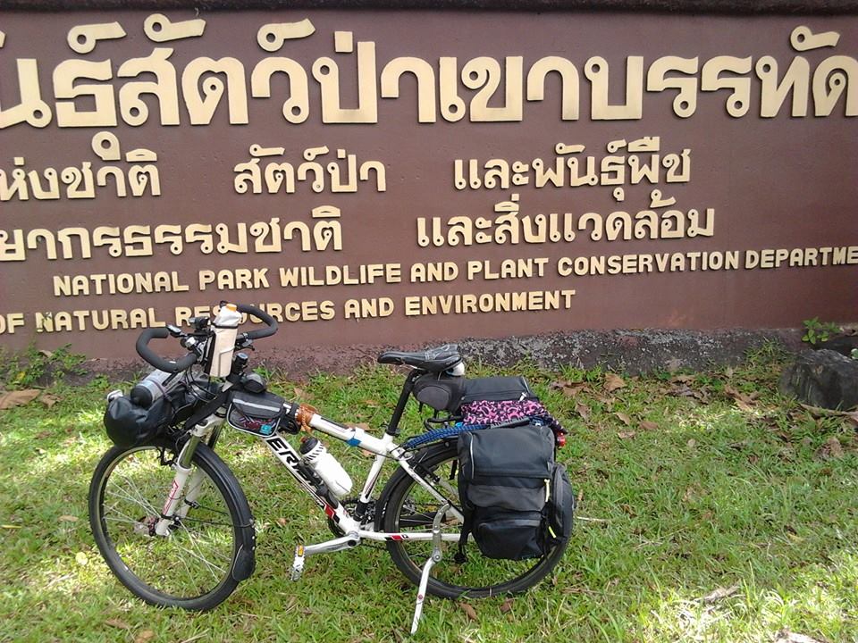 เสือภูเขาแปลงร่าง