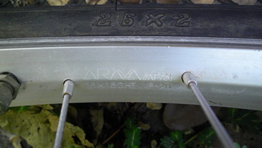 SANY0267.JPG