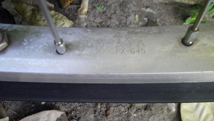 SANY0282.JPG