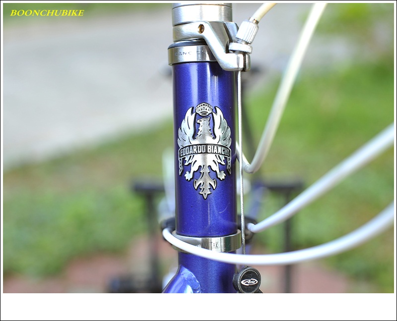 BIANCHI  LUPO_18.JPG