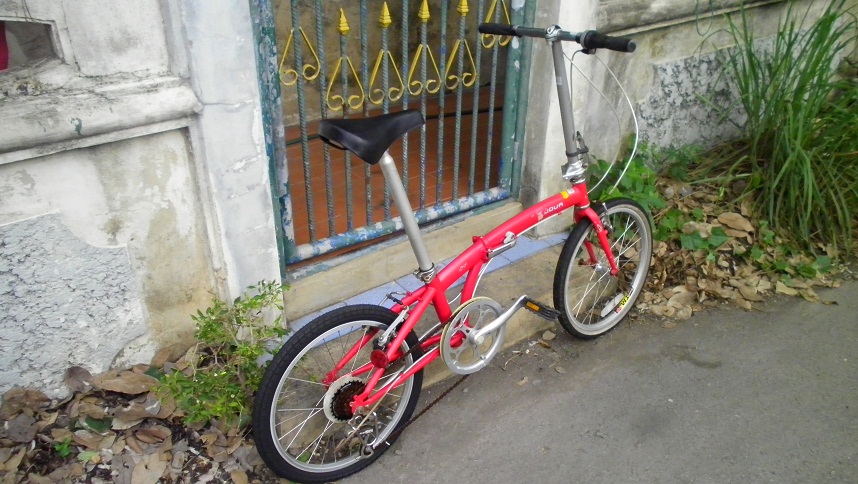 SANY0262.JPG