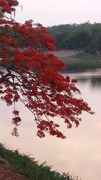 20150505_180059.jpg