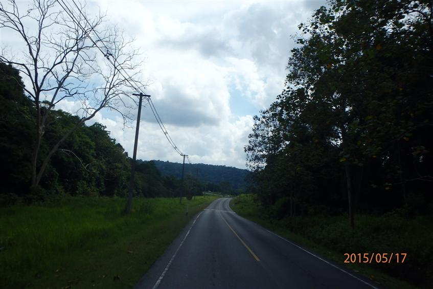P5172242 (Custom).JPG
