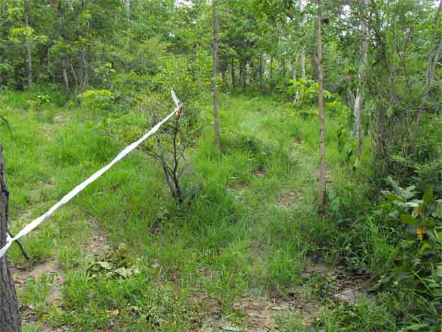 DSCF0046.jpg