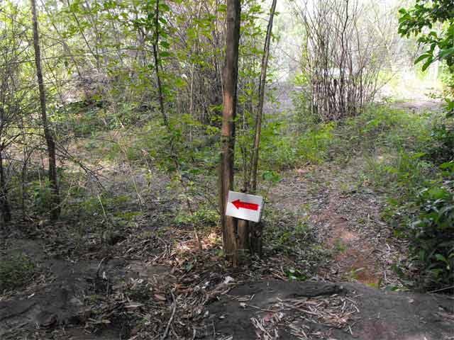 DSCF0079.jpg