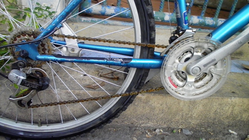 SANY0276.JPG