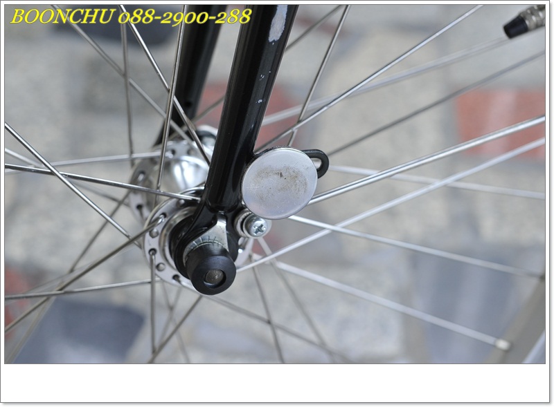 DAHON_18.JPG