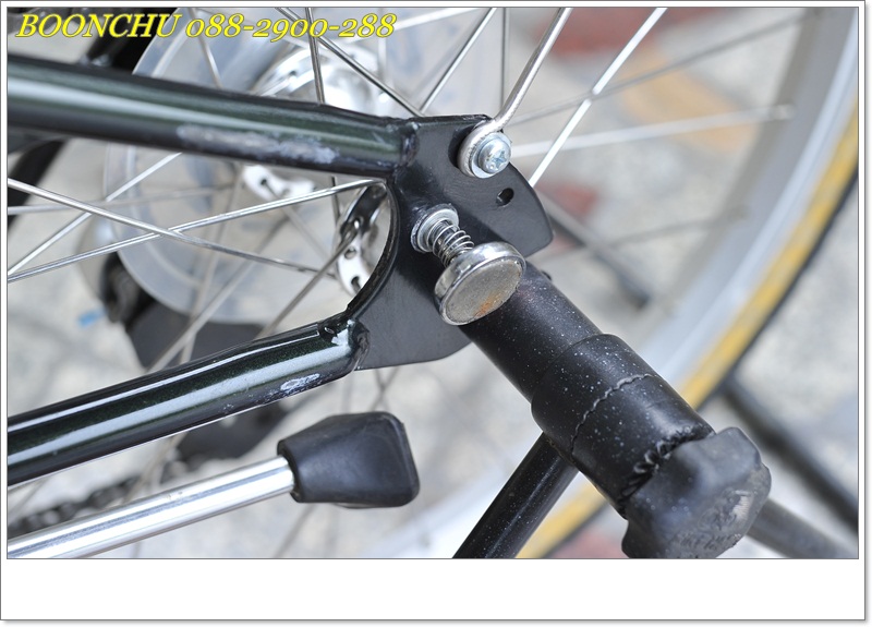 DAHON_19.JPG