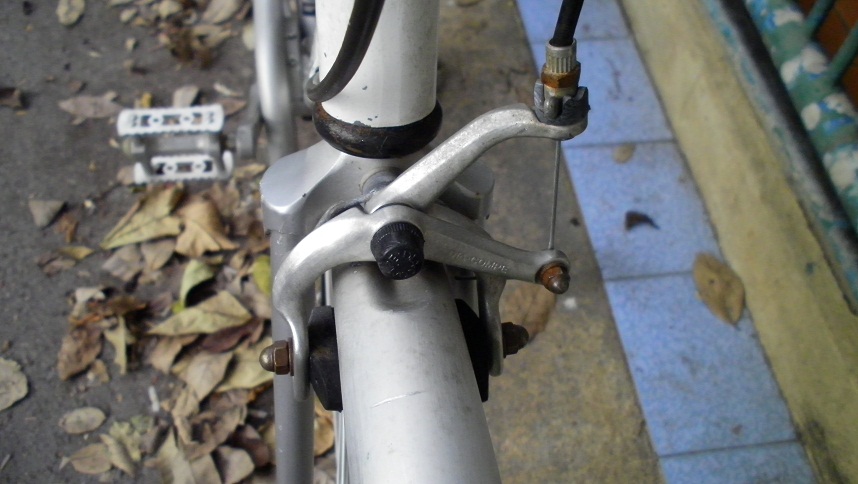 SANY0264.JPG