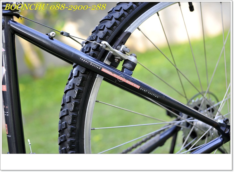 SPECIALIZED_12.JPG