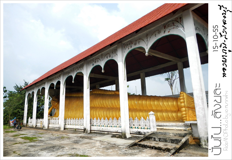 DSCN5540.jpg