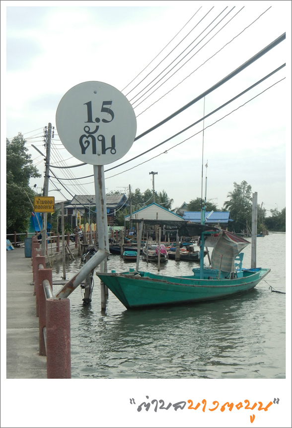 DSCN1245.jpg