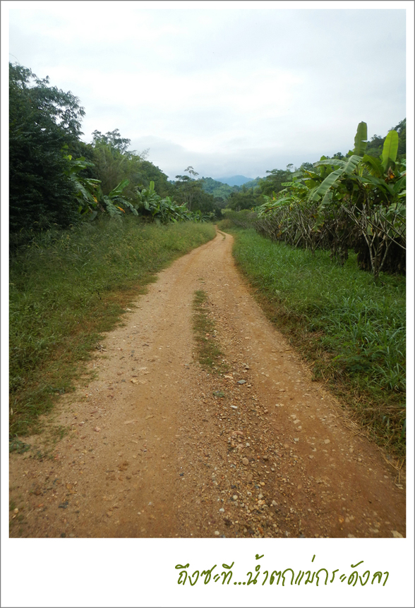 DSCN0813.jpg