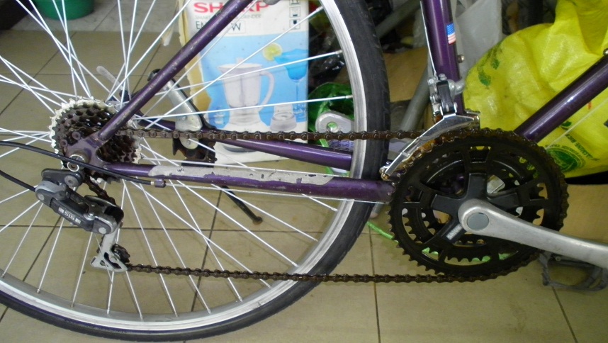 SANY0342.JPG