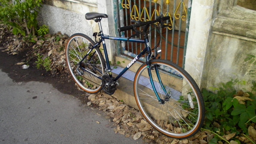 SANY0263.JPG
