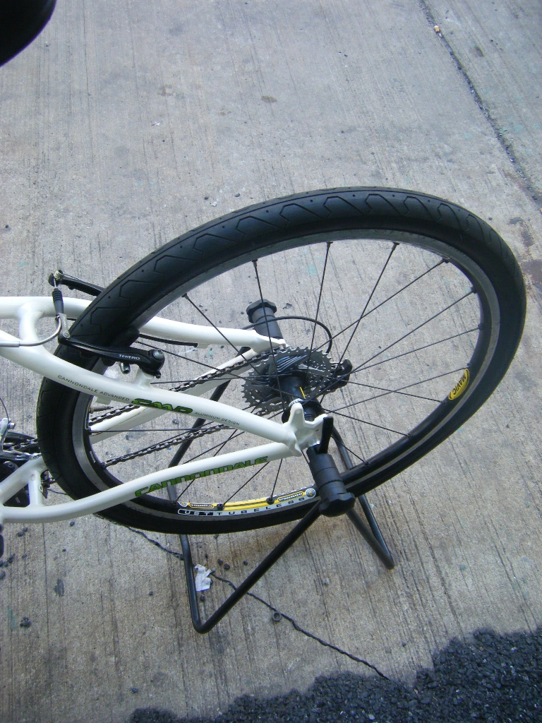 DSCF8199.JPG