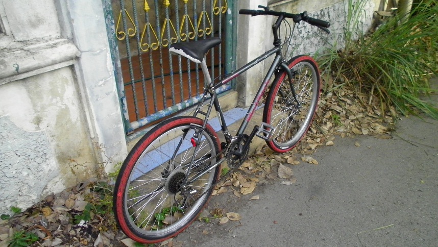 SANY0283.JPG