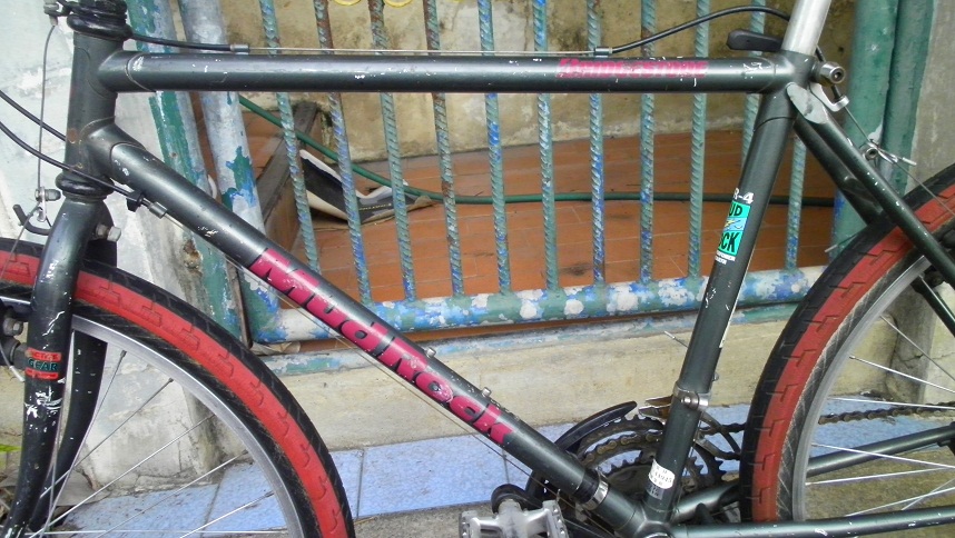SANY0285.JPG