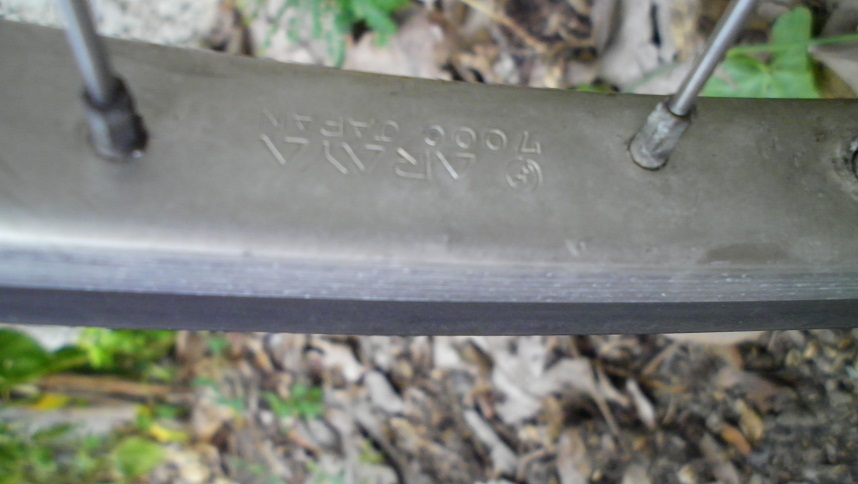 SANY0277.JPG