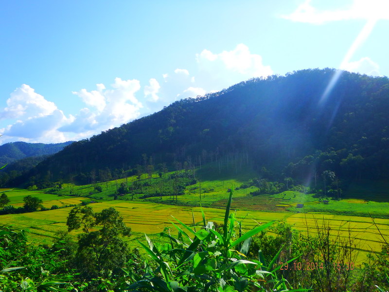 DSCF3156.JPG
