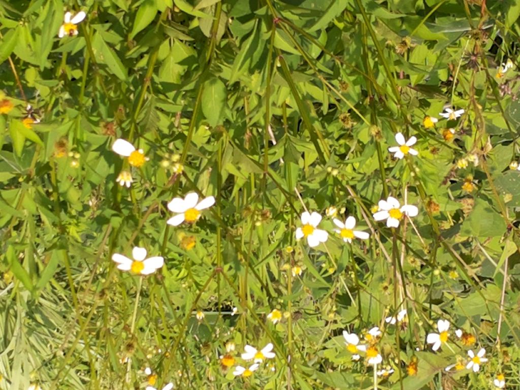 20150618_074751.jpg