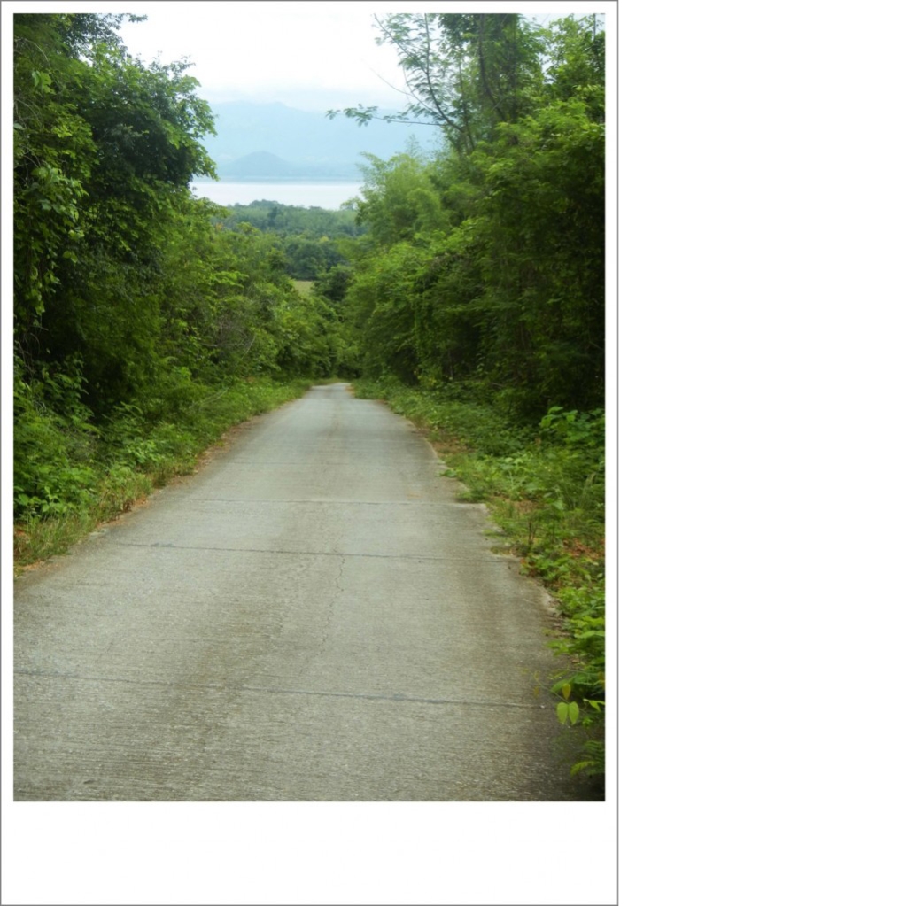 DSCN9851.JPG