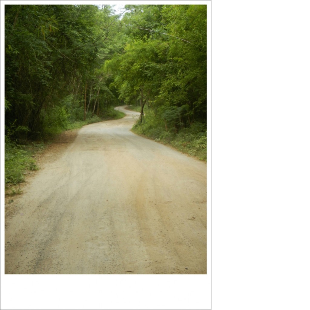 DSCN9861.JPG