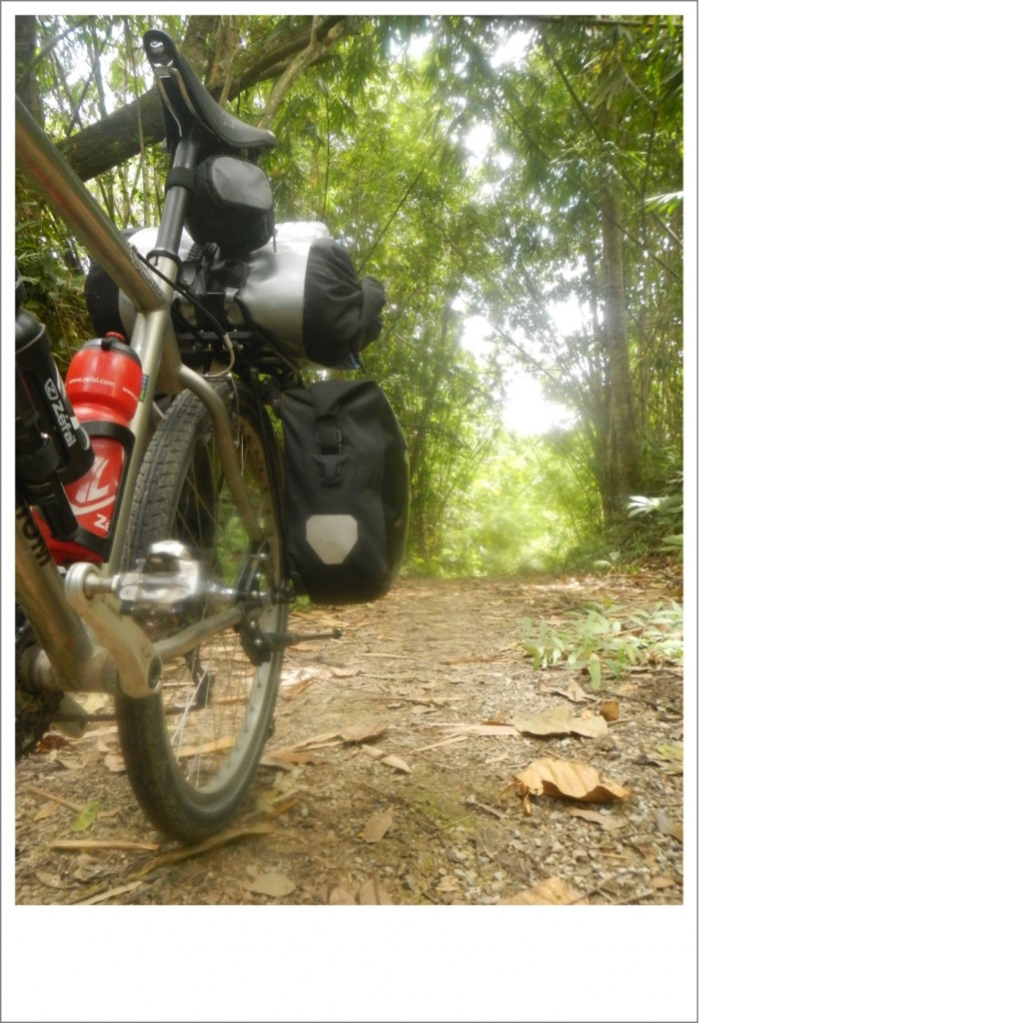 DSCN9917.JPG