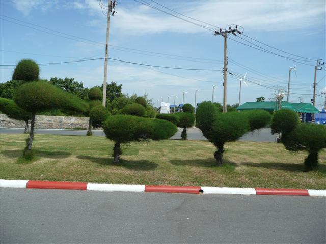 P1080425 (Small).JPG
