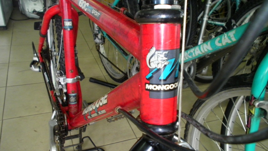 SANY0277.JPG
