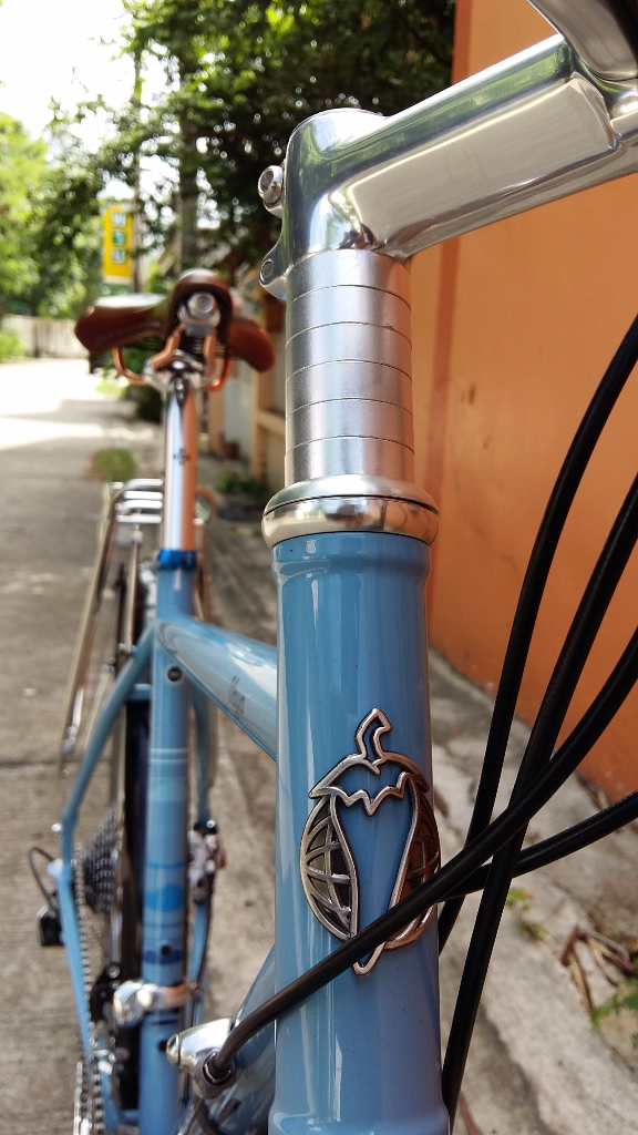 Salsa Vaya แนว Neo Vintage