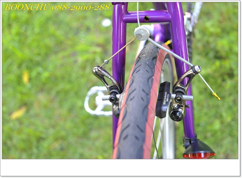 MIYATA_31.JPG
