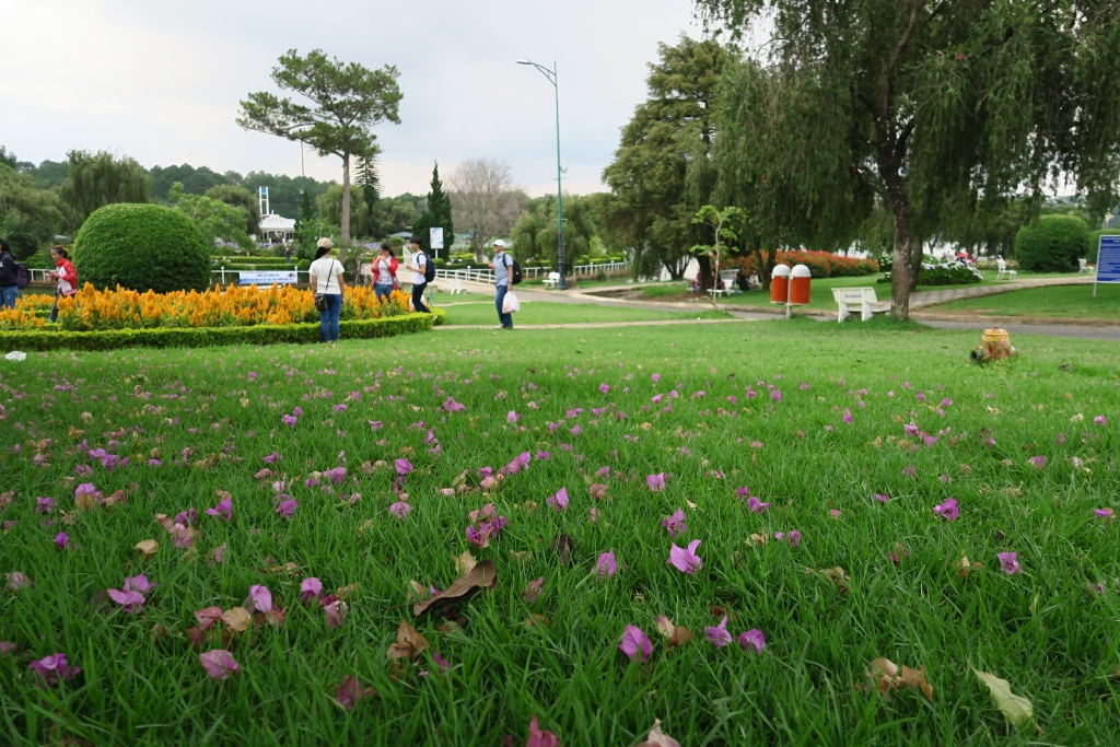 20150516_120237.jpg