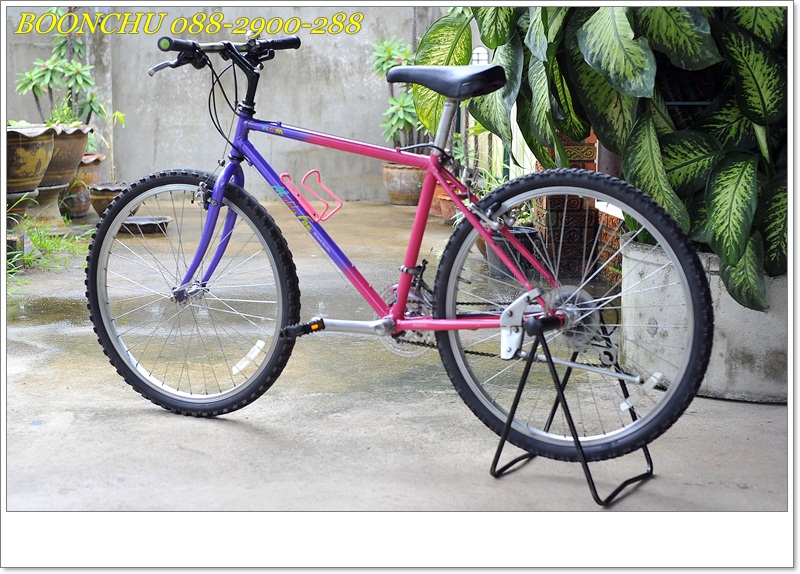 ARAYA ม่วง_07.JPG