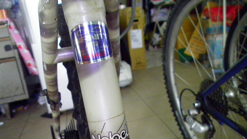 SANY0273.JPG