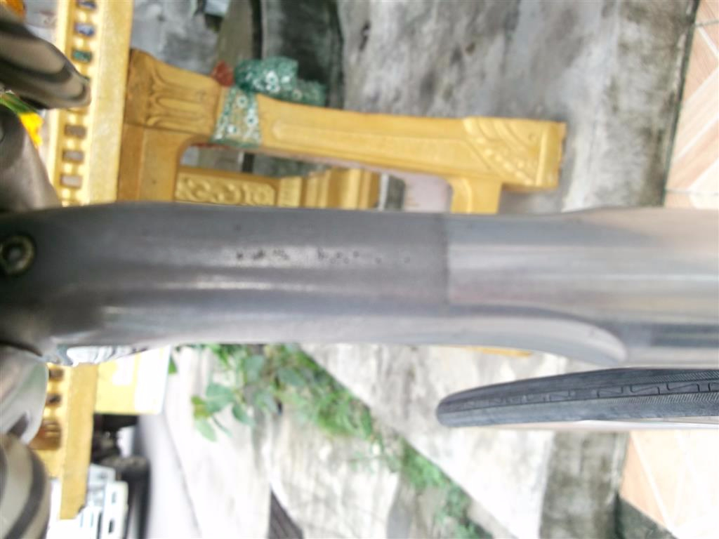 DSCF9570 (Medium).JPG