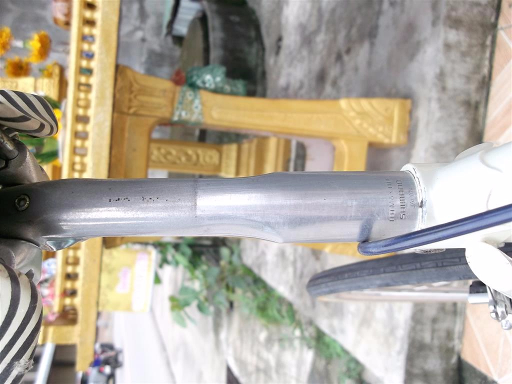 DSCF9577 (Medium).JPG