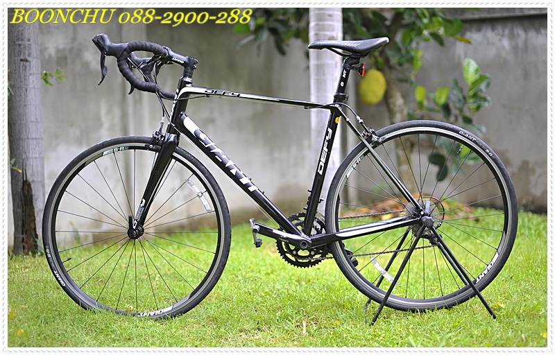 GIANT DEFY_02.JPG
