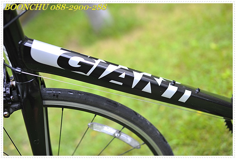 GIANT DEFY_10.JPG