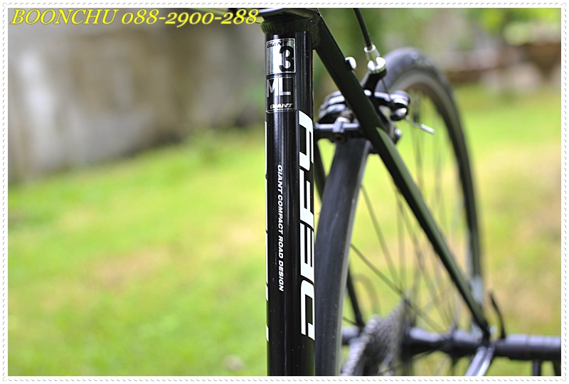 GIANT DEFY_12.JPG